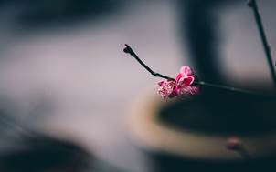 ˵: ÷