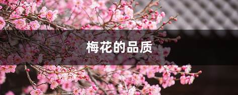 ˵: ÷Ʒʣ÷ʲô